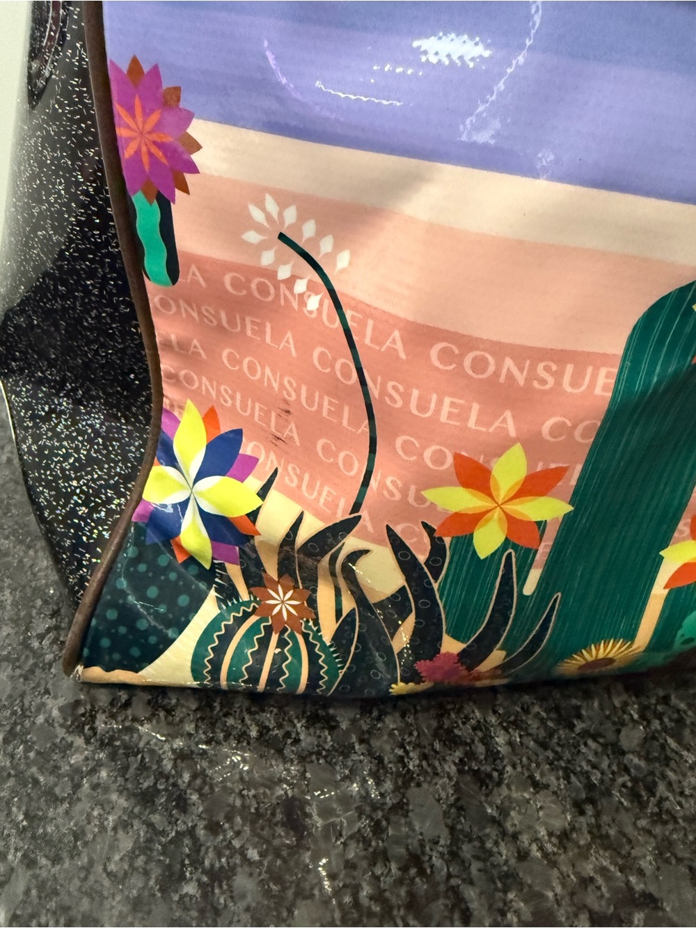 Consuela Purple Desert Cactus Tote with Multicolor Floral Straps - Picture 10 of 11